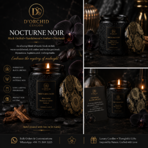 🖤nocturne noir